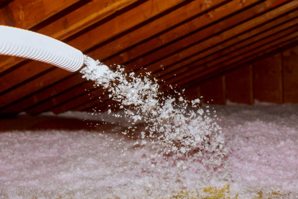 Best Insulation Installation Services in University Center, VA