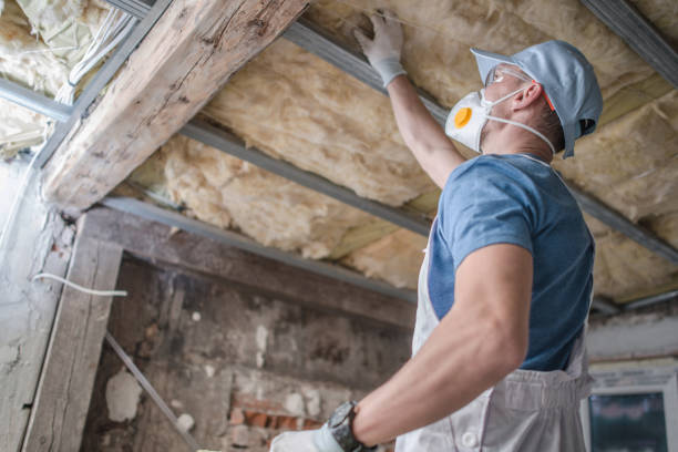 Best Insulation for Specific Applications in University Center, VA